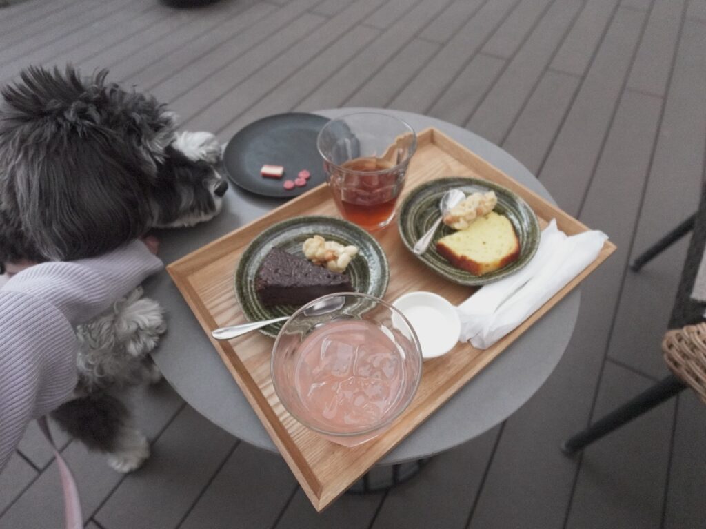 オールインクルーシブでケーキおやつ、飲み物など取り放題