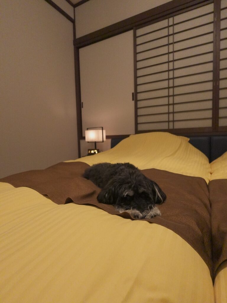 客室のベッドの上で寝る愛犬