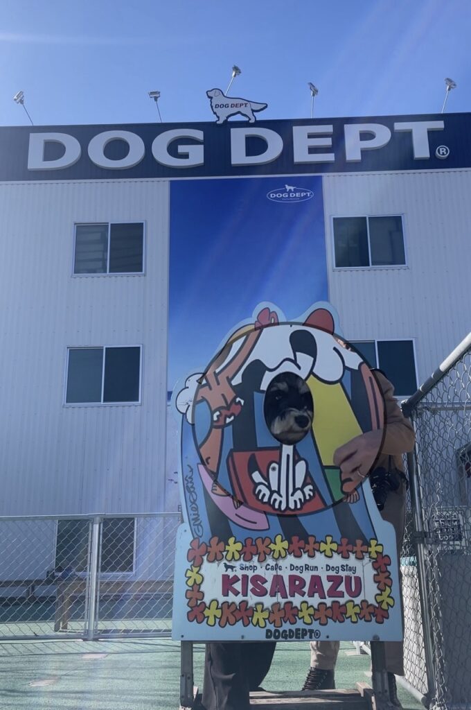木更津DOG DEPTの顔はめパネル
