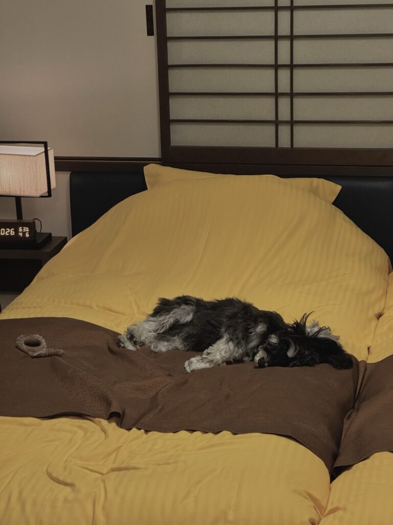 遊び疲れてベッドで眠る愛犬