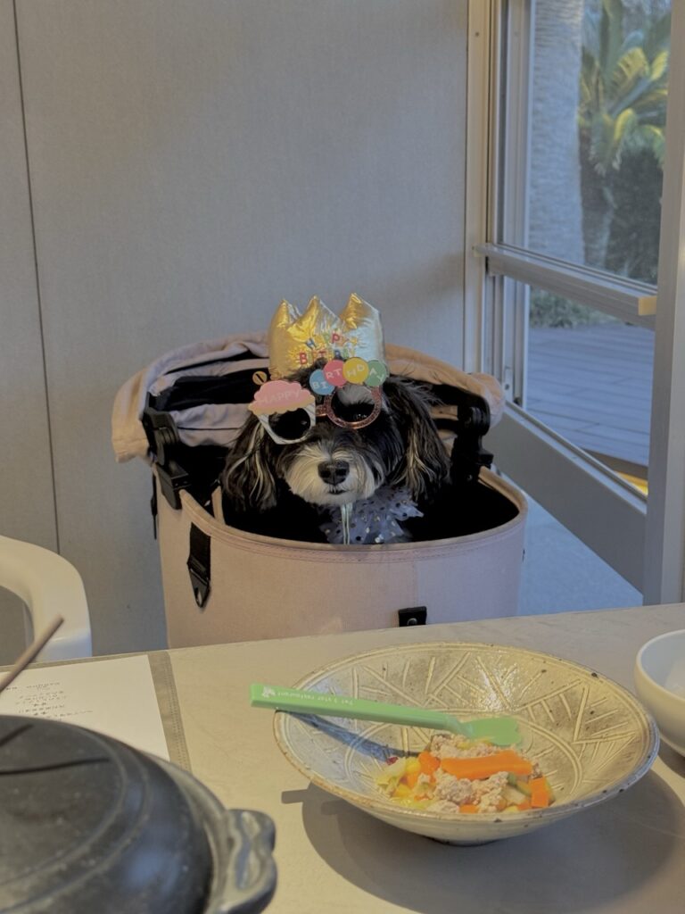 愛犬のお誕生日祝い。よるごはん